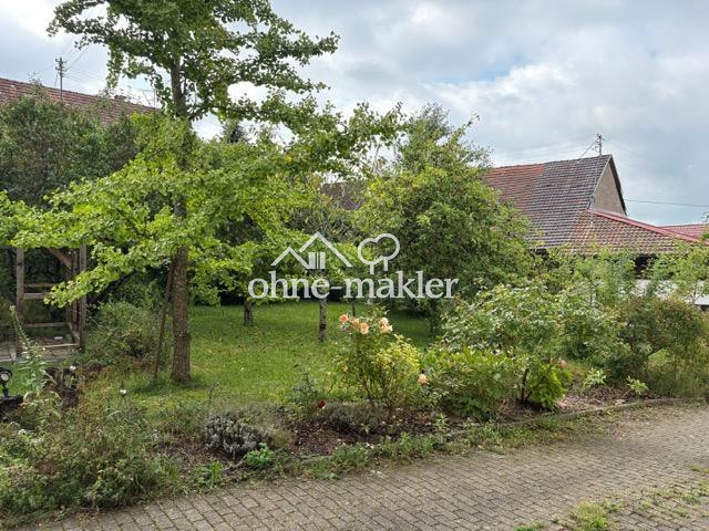 Bild 15