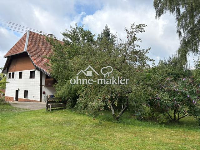Bild 17