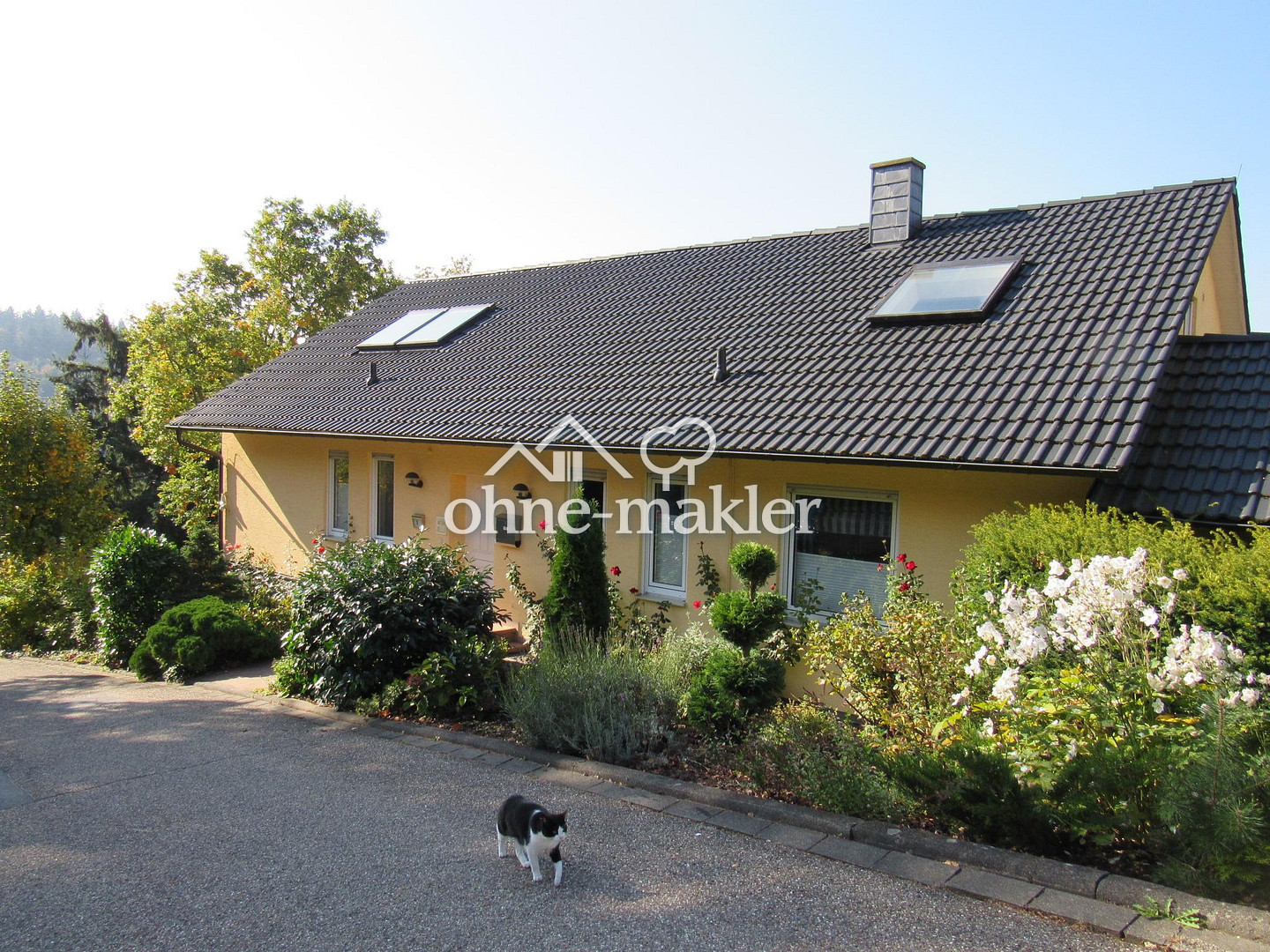 Bild 19