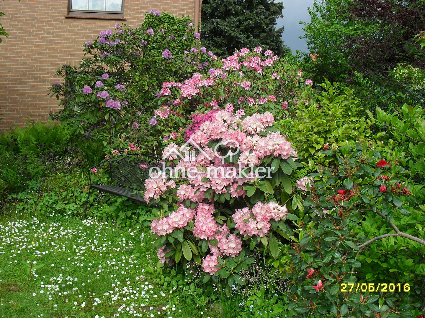 Bild 404