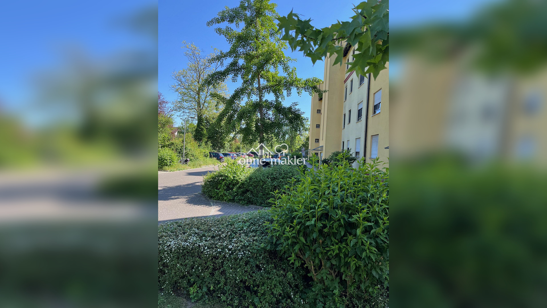 Bild 19