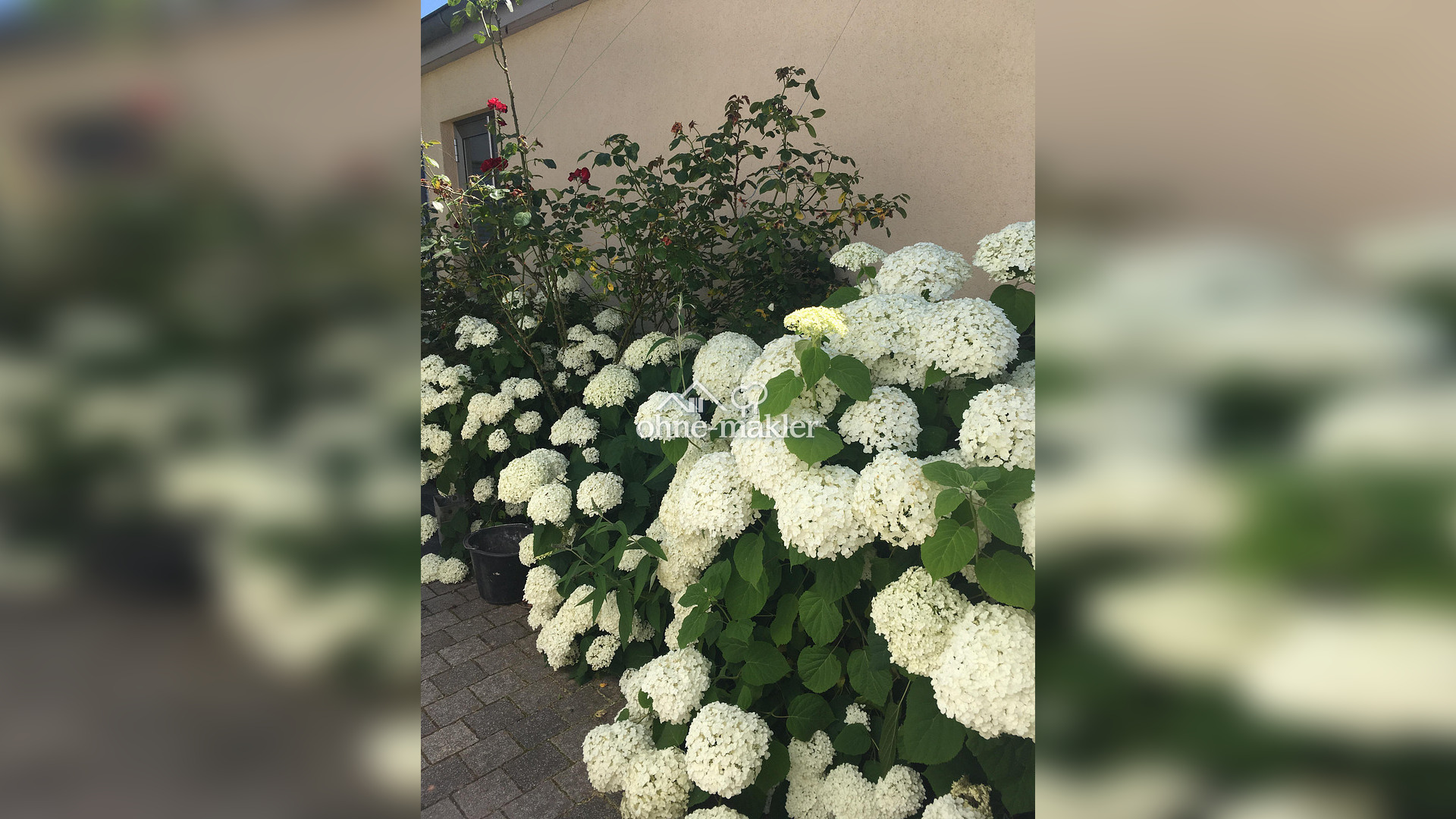 Bild 58