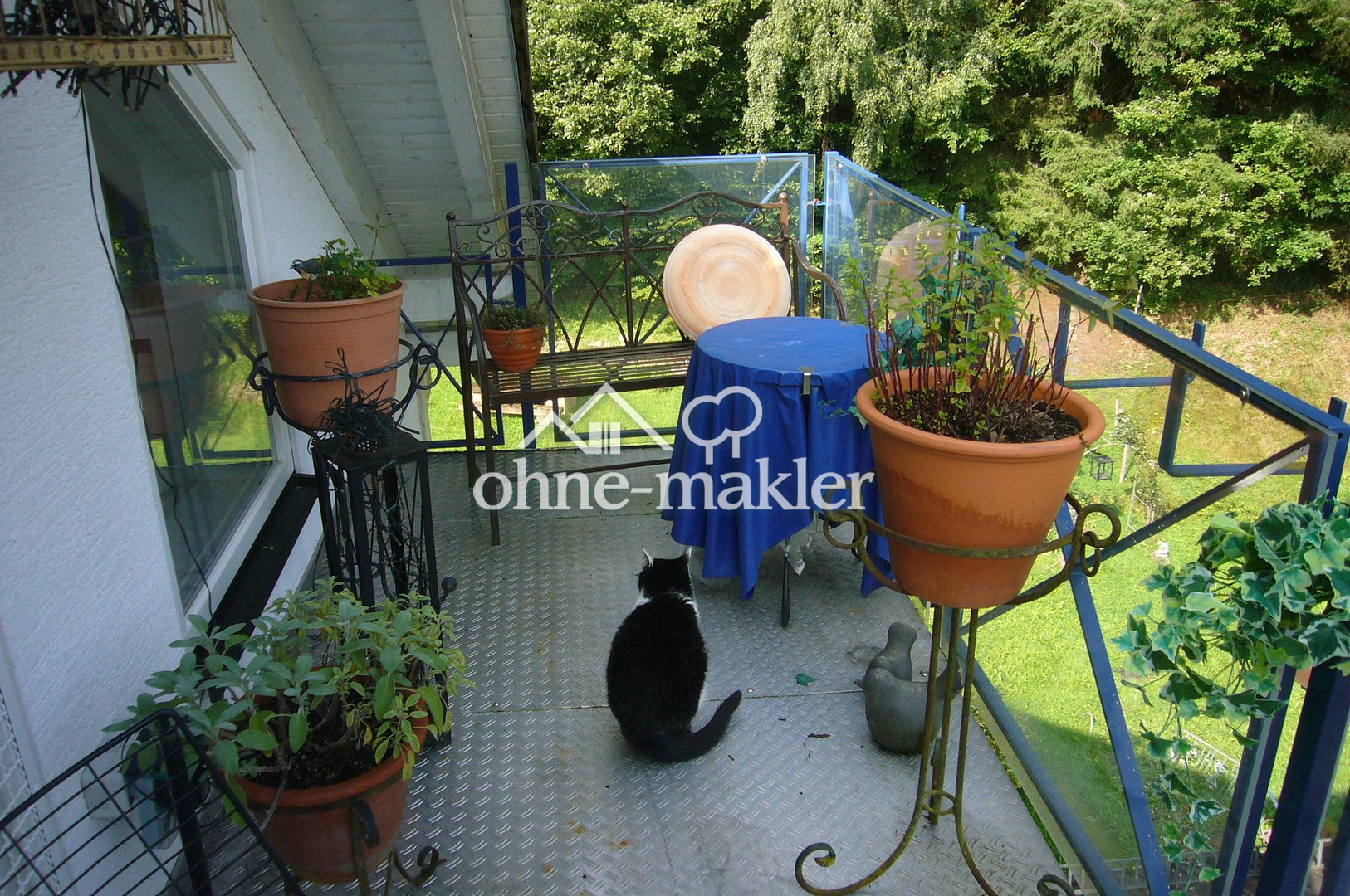 Bild 11