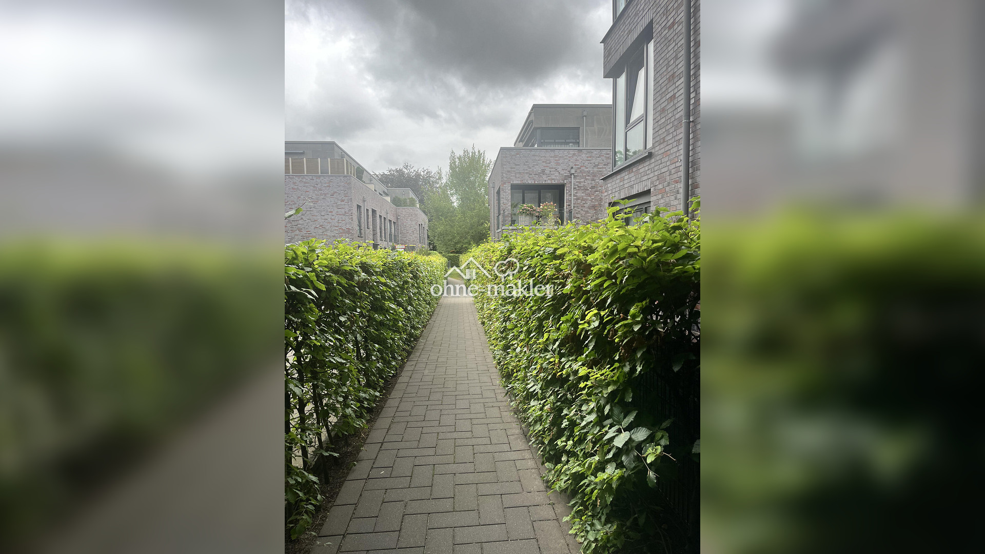 Bild 51