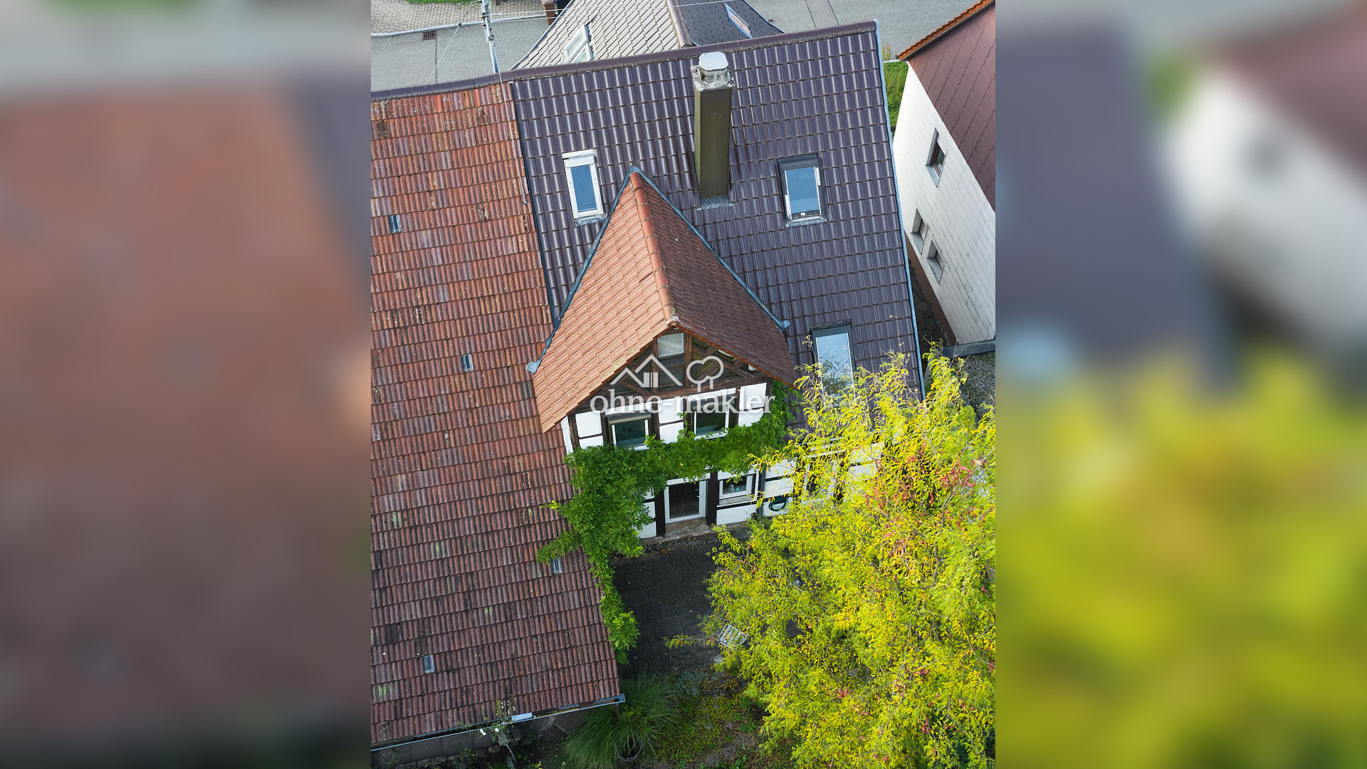 Bild 41
