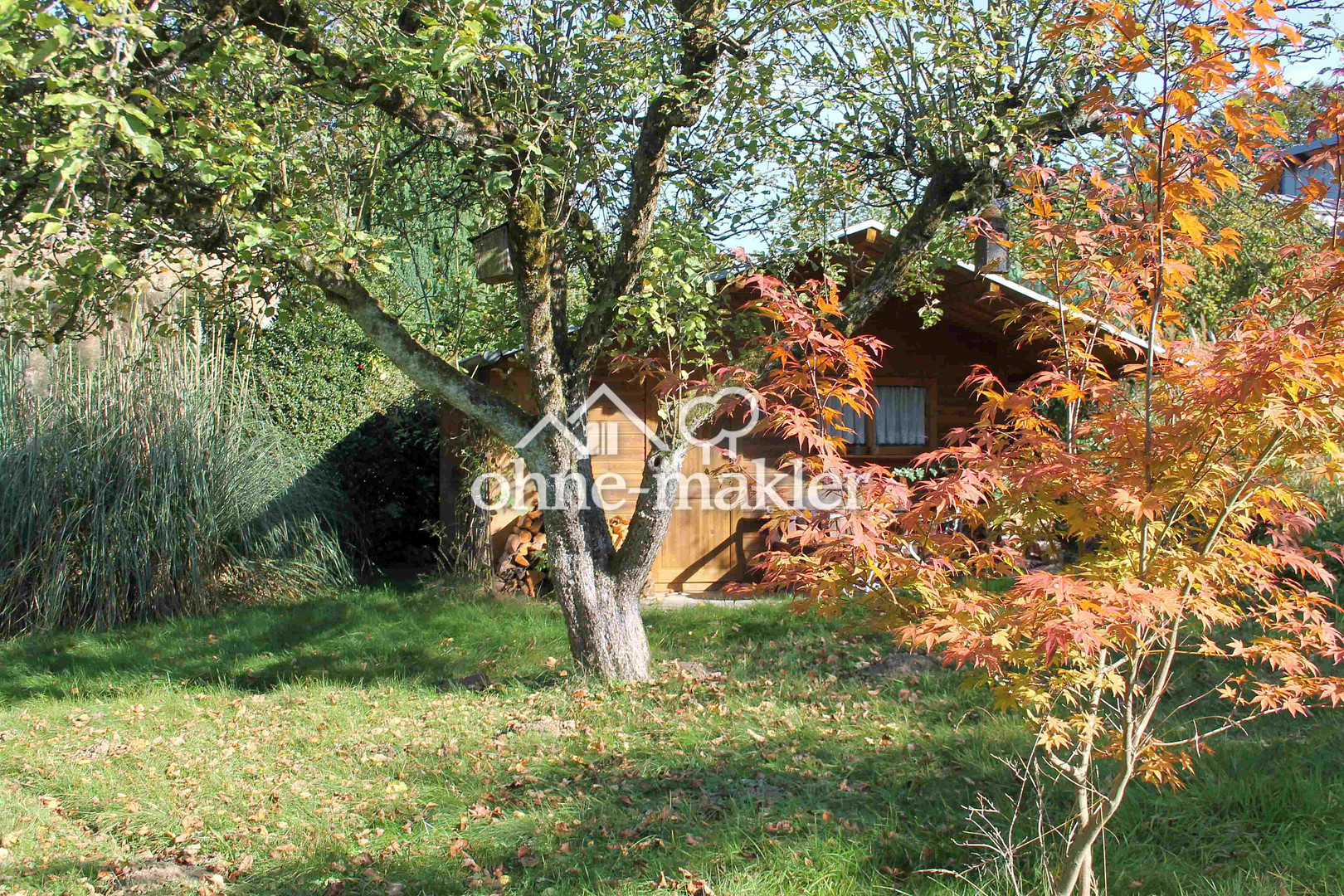 Bild 17