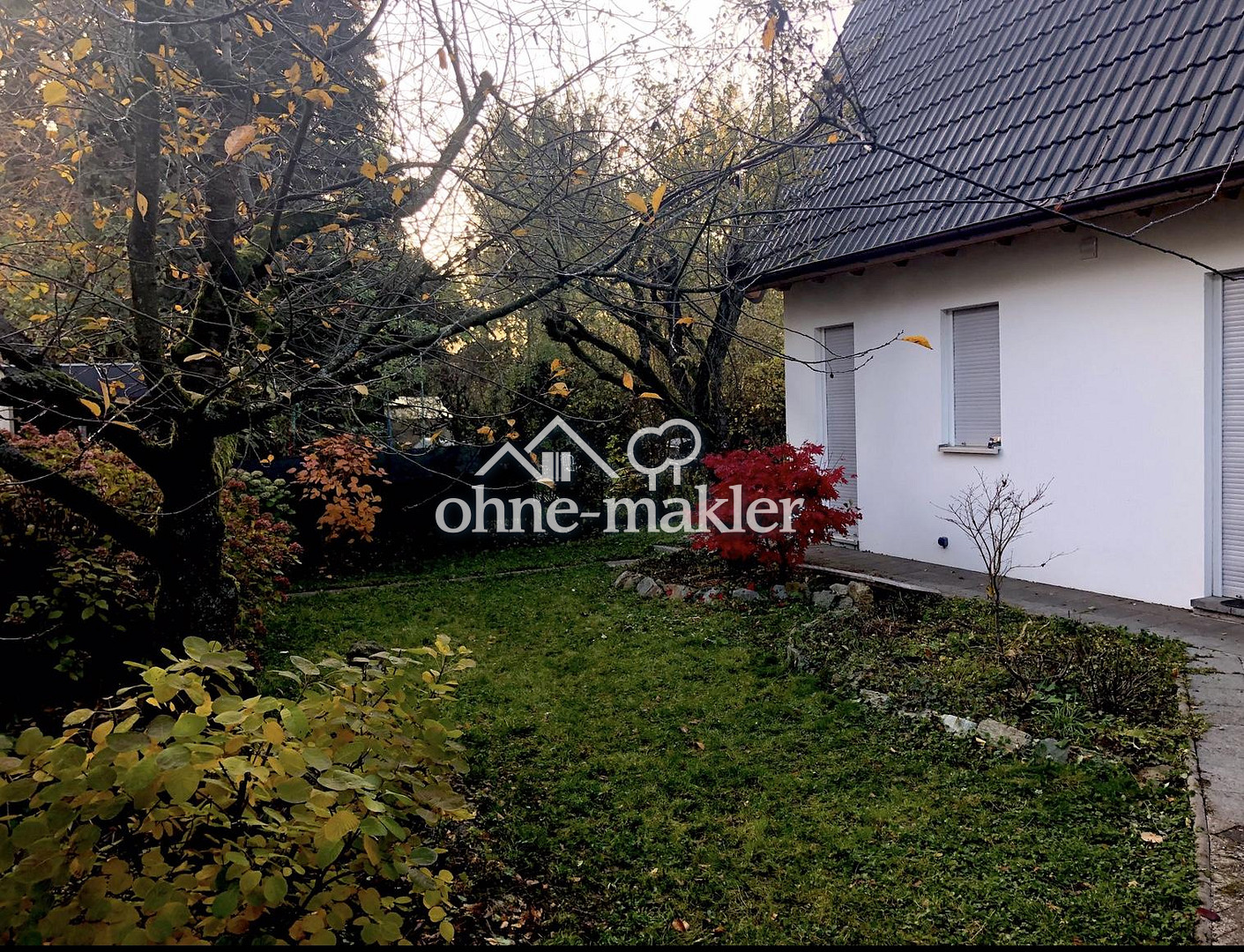 Bild 224