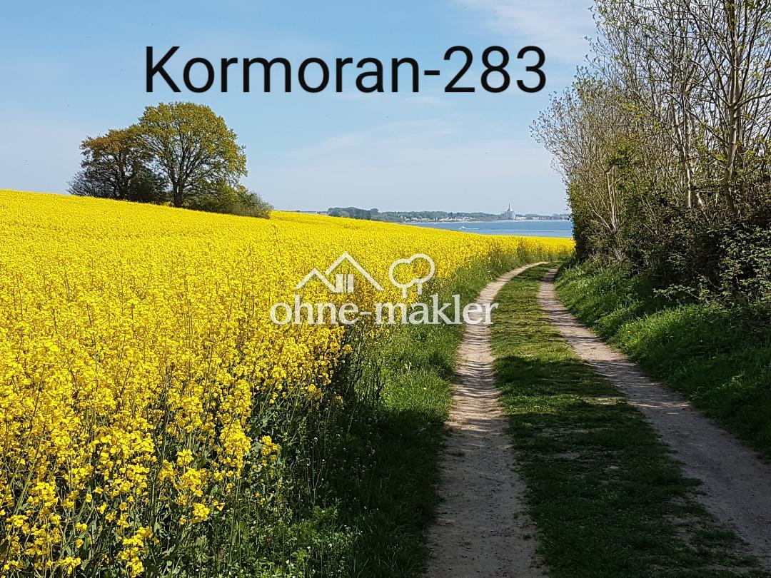 Bild 16