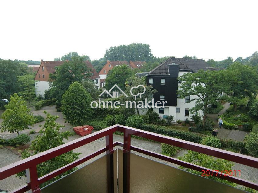 Bild 41