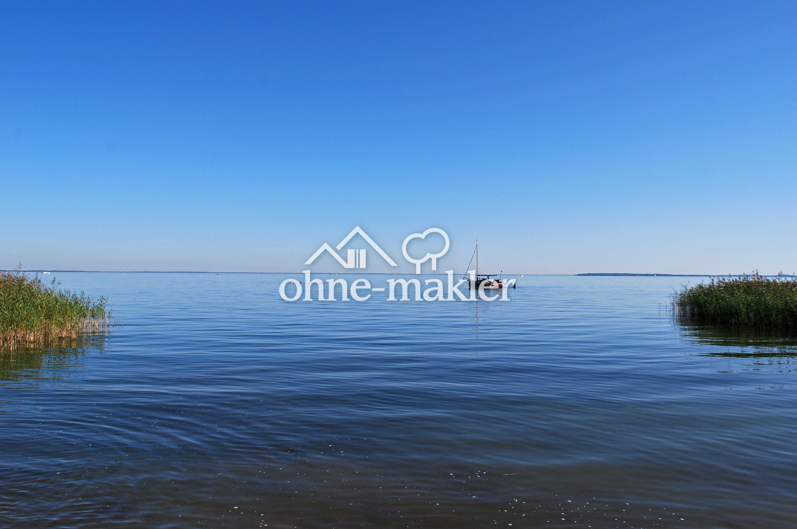 Bild 194