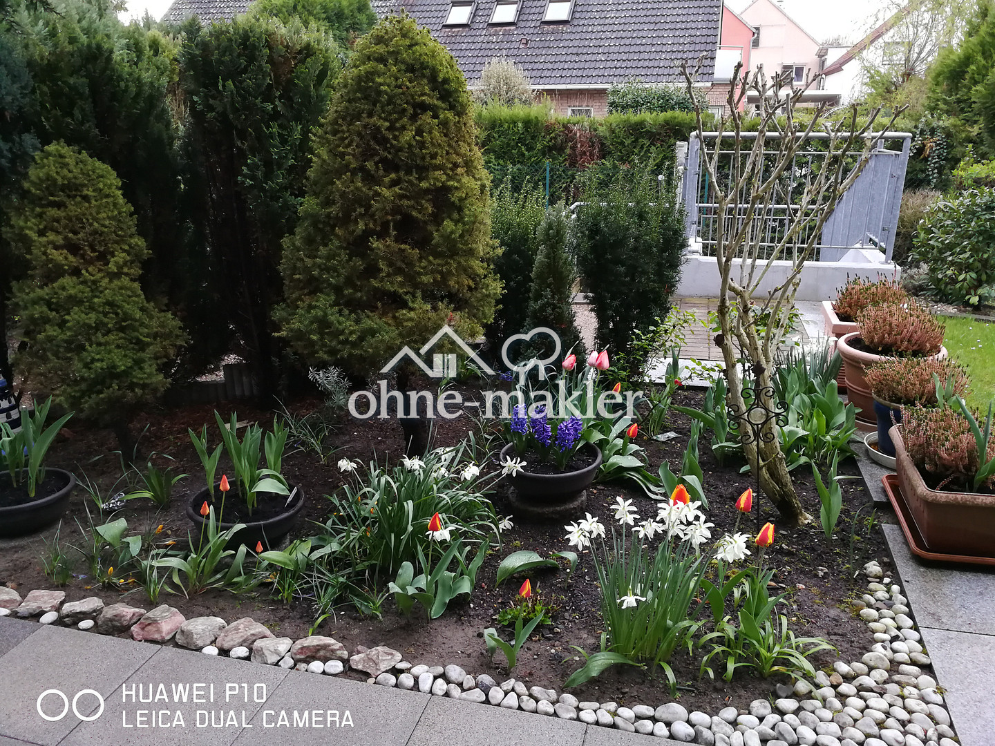 Bild 9