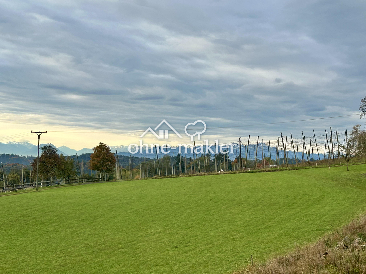 Bild 19