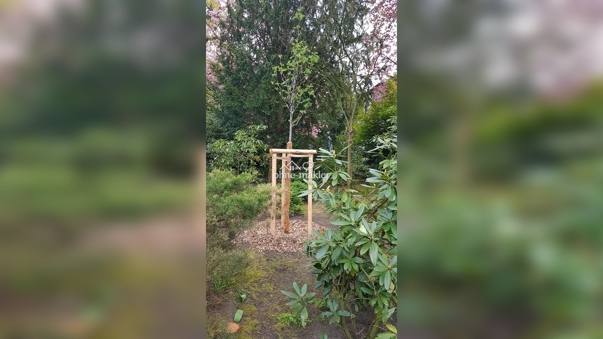 Bild 14