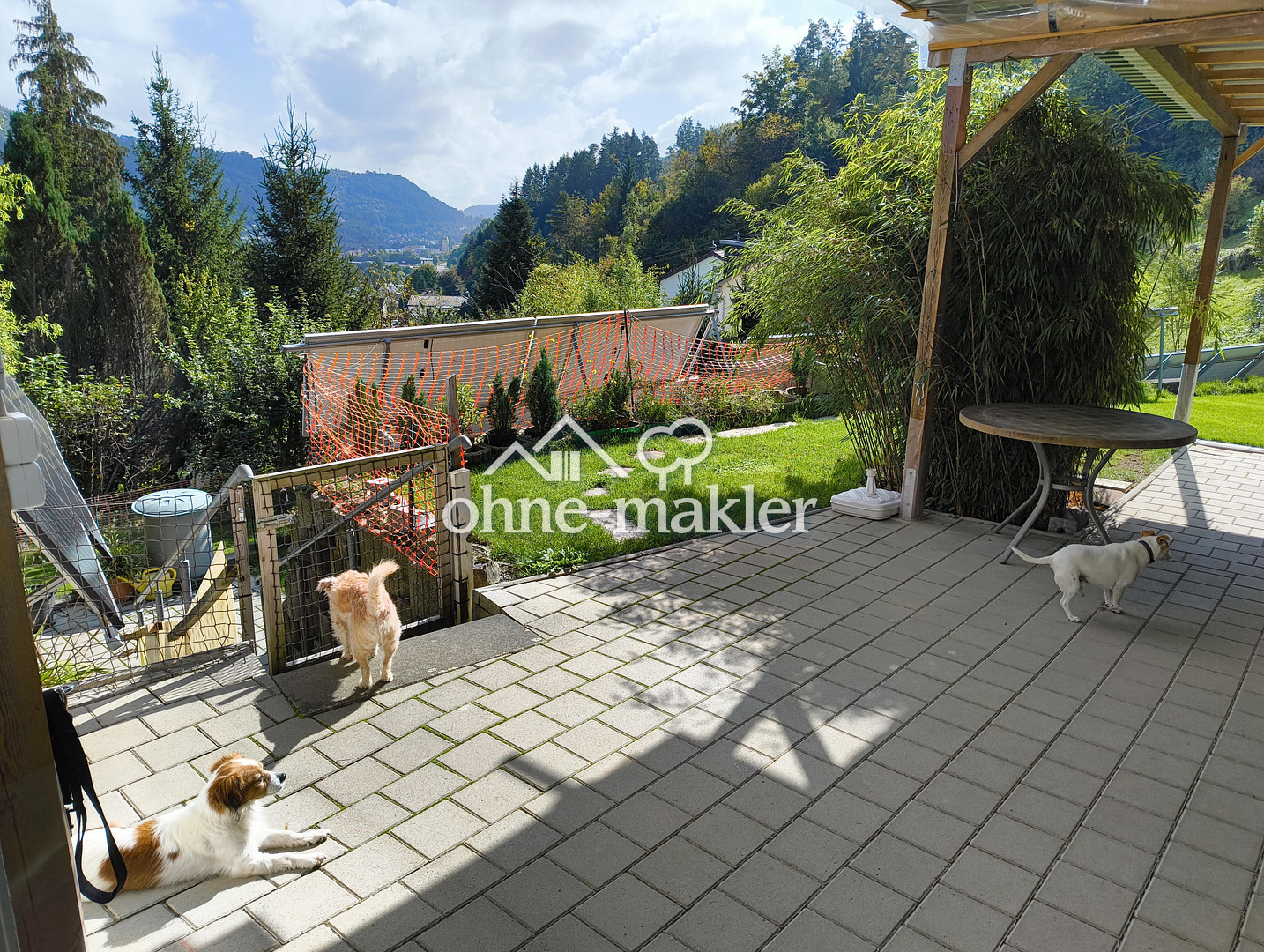 Bild 11