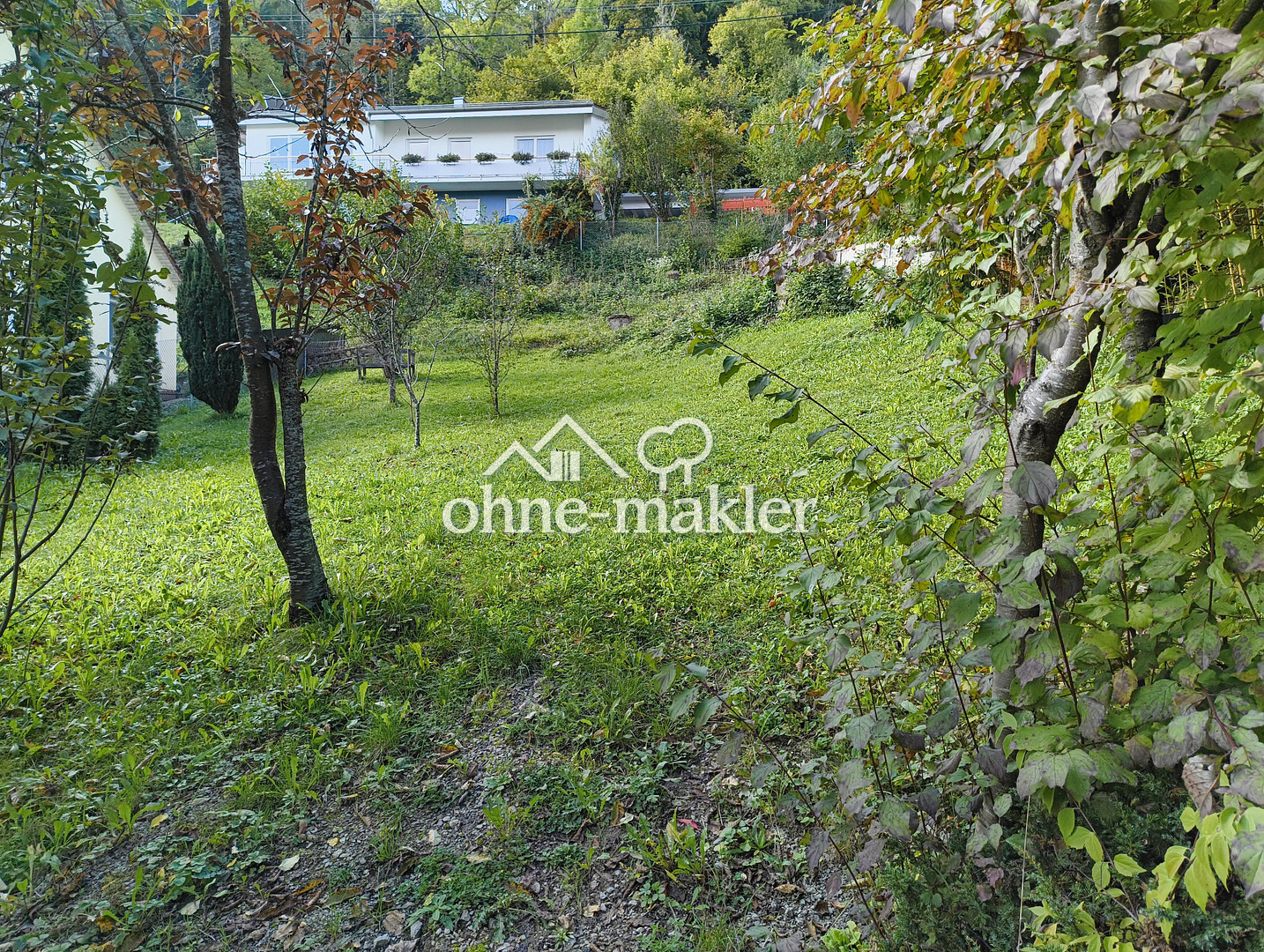 Bild 17