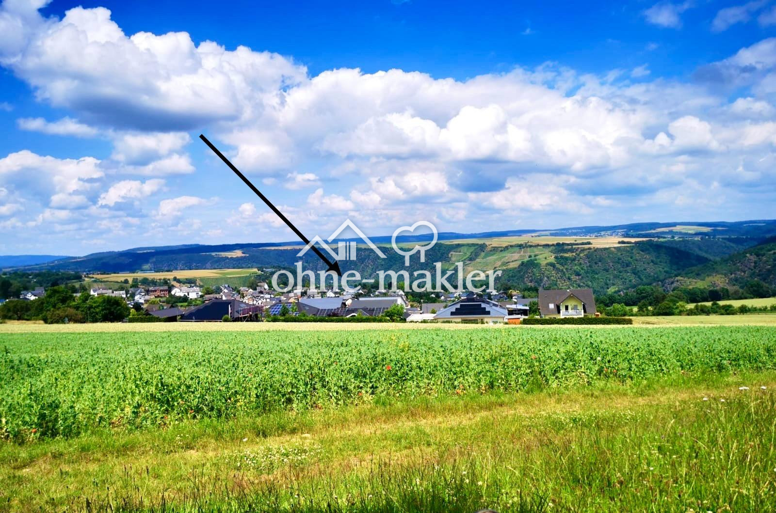 Bild 67