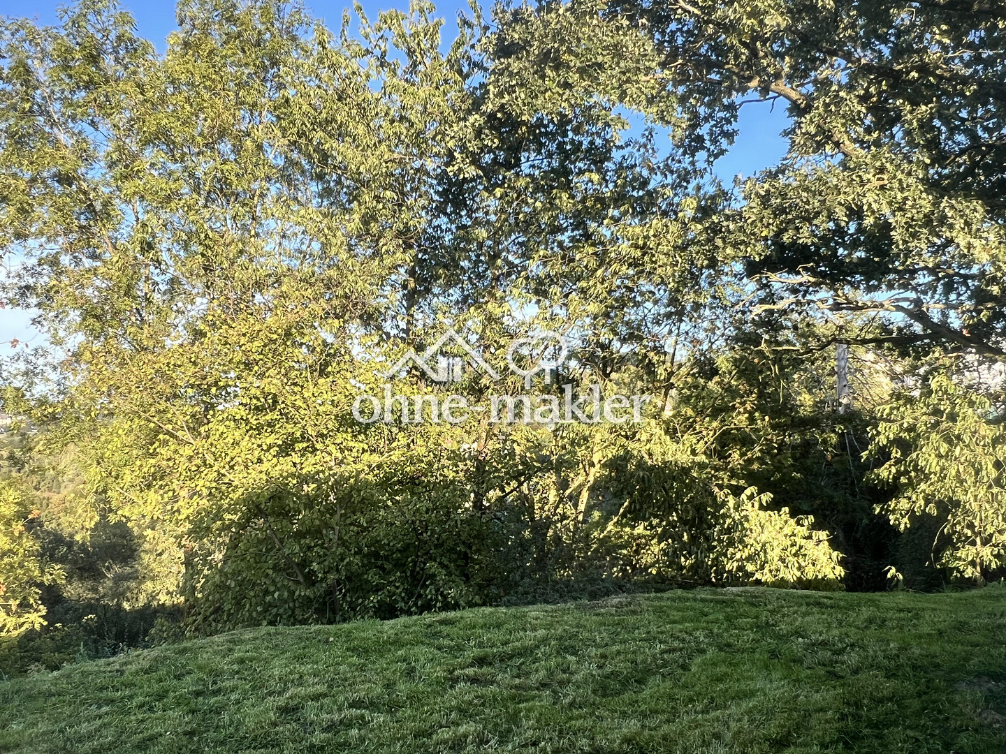 image-70149420