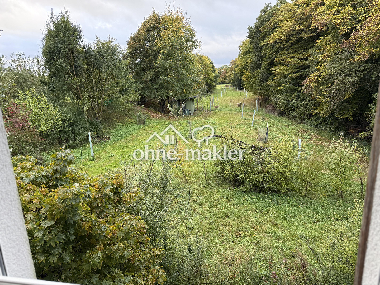 Bild 19