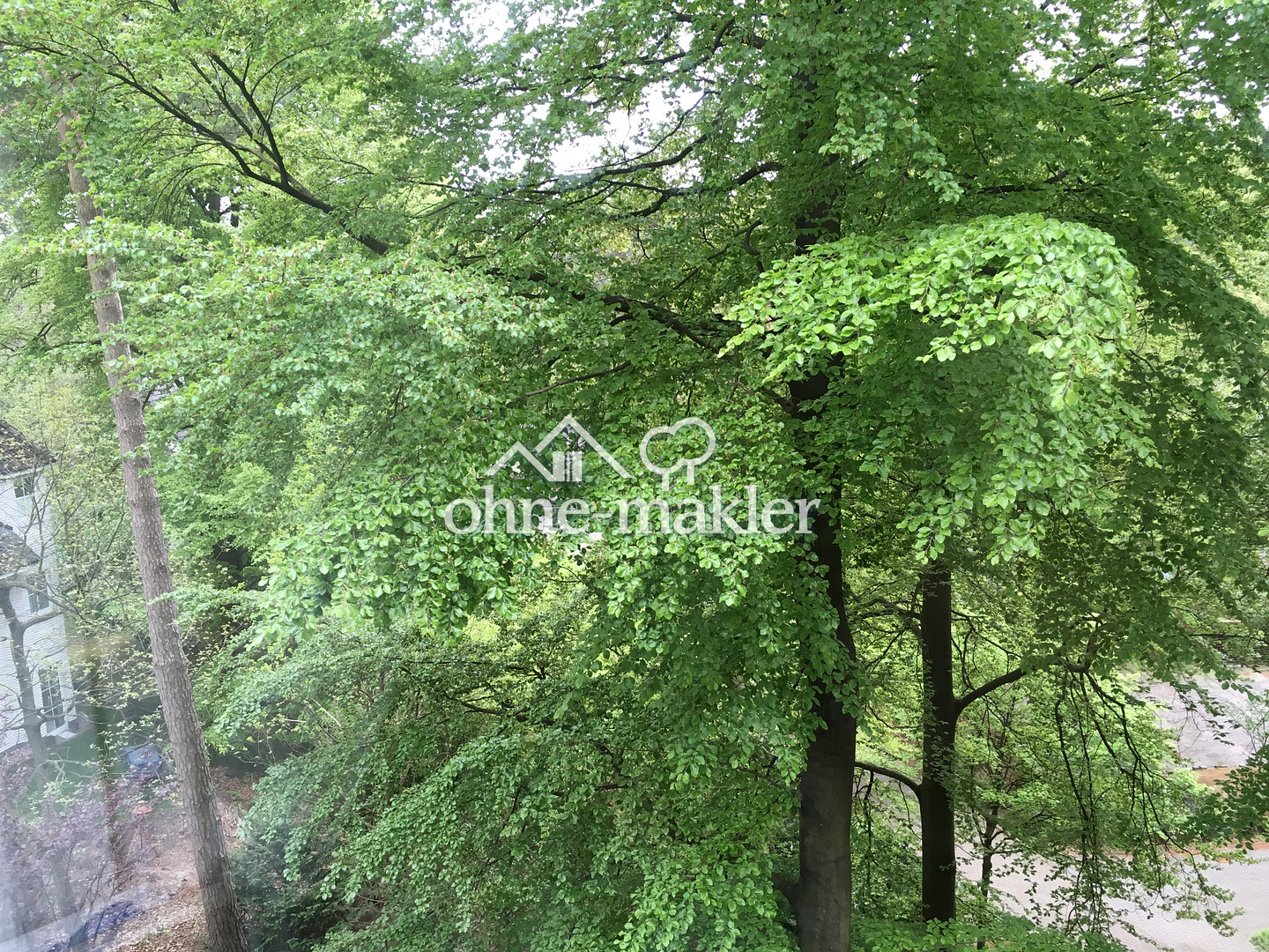 Bild 16