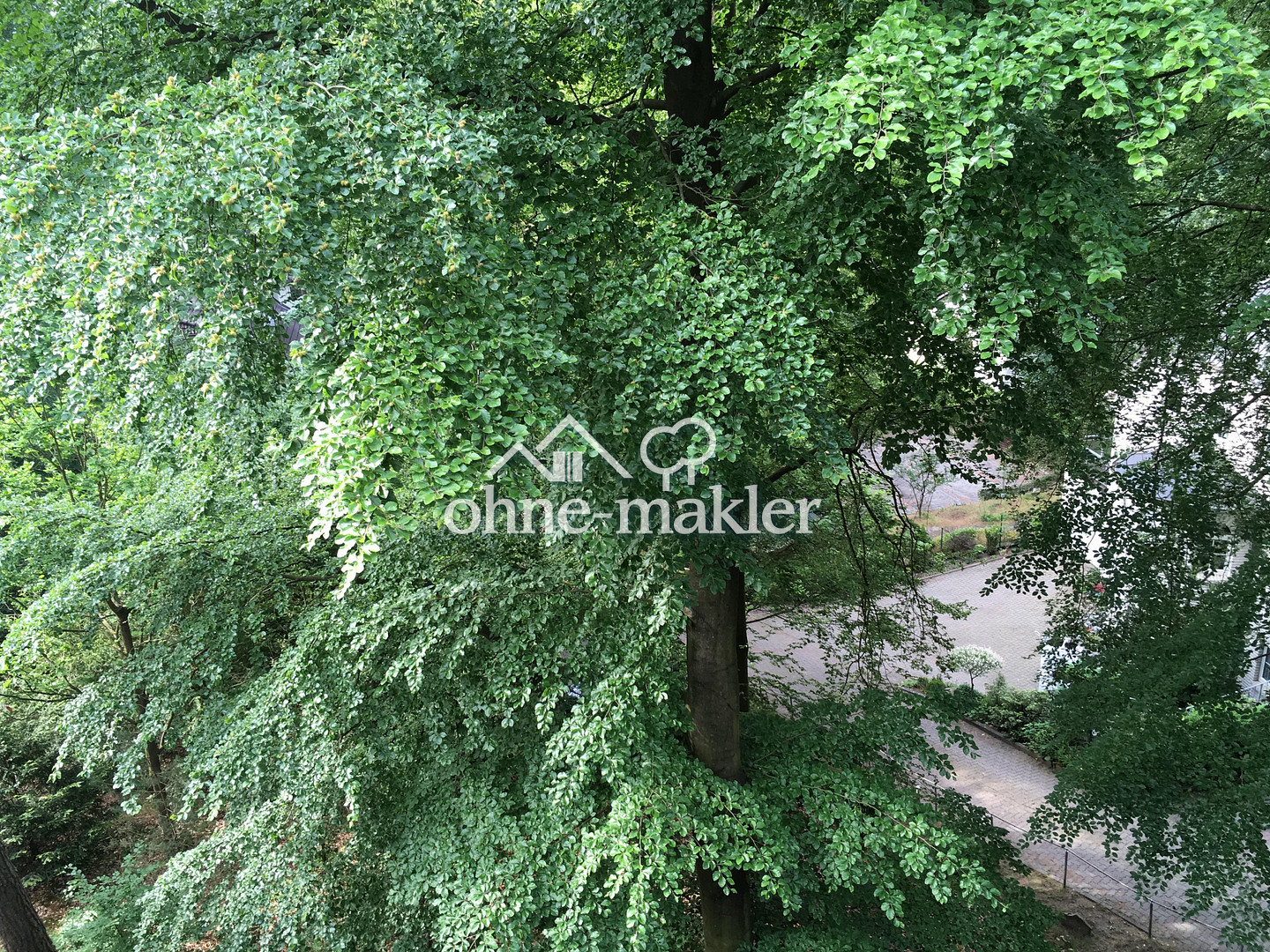 Bild 17