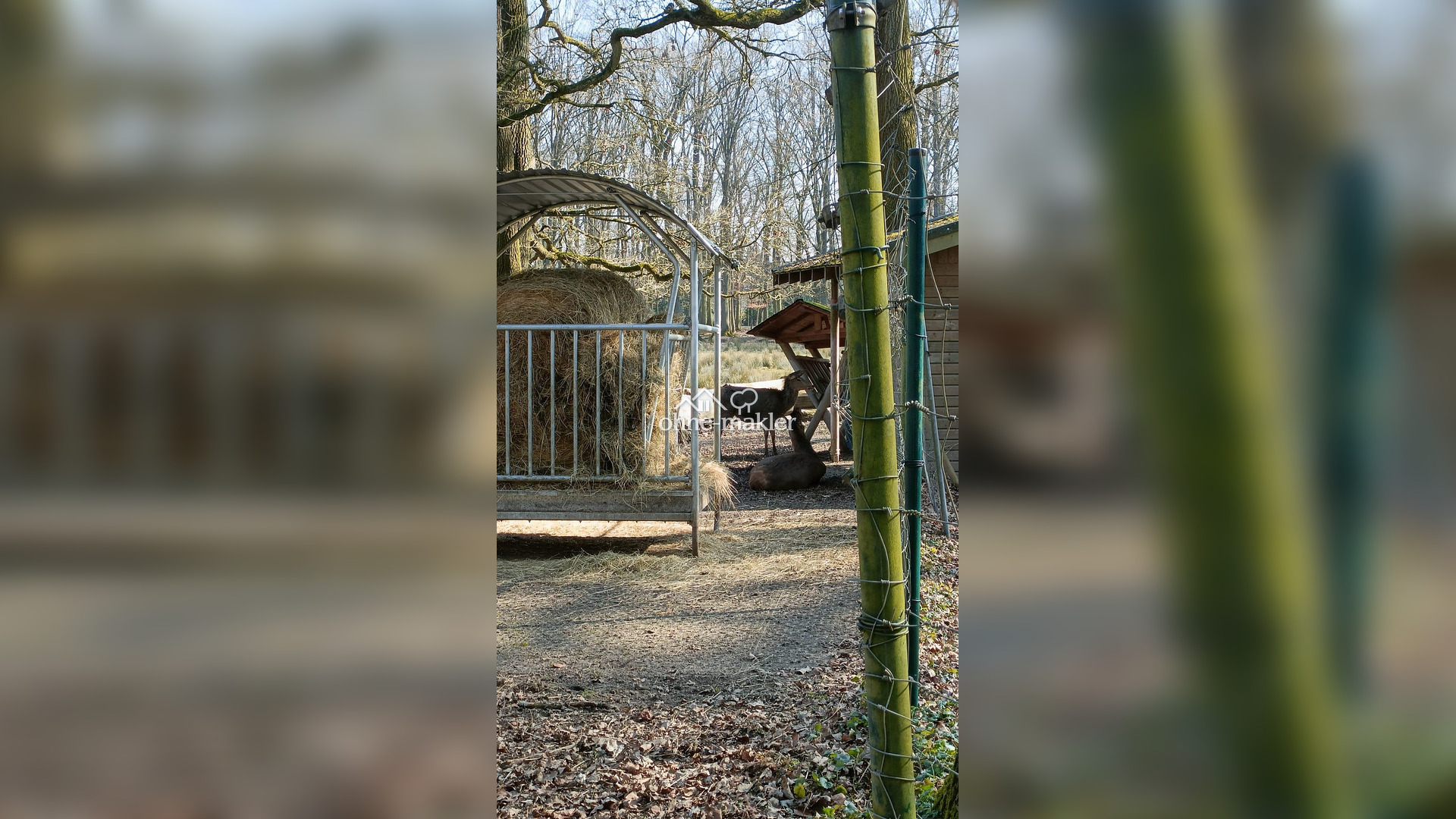 Bild 22