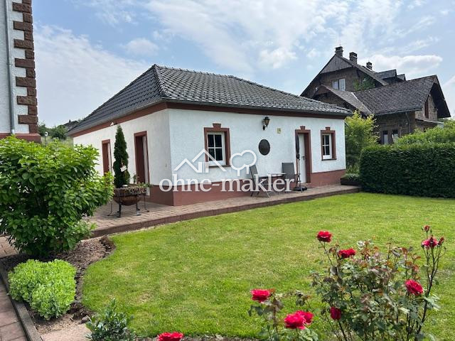 Bild 25