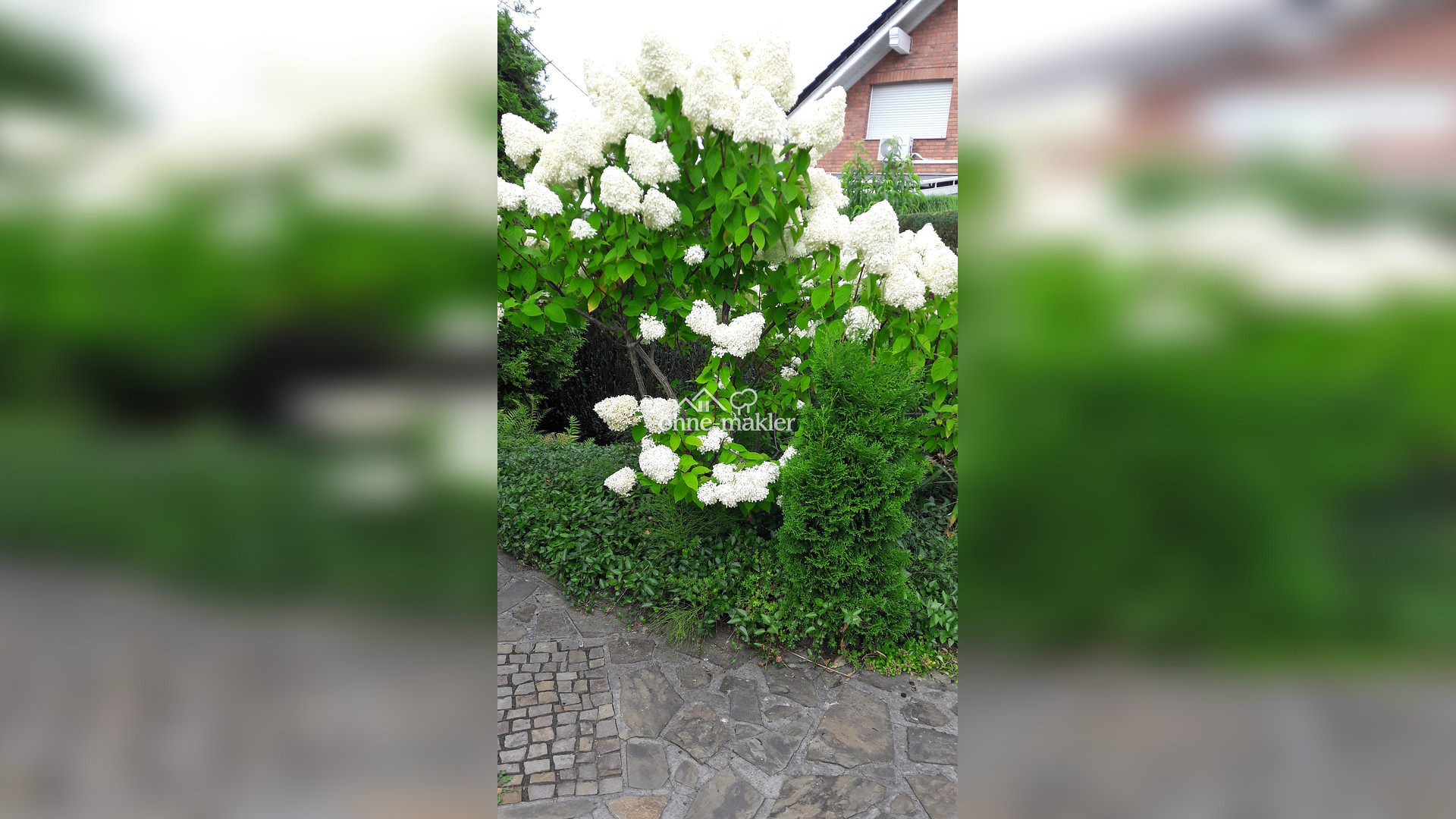 Bild 63