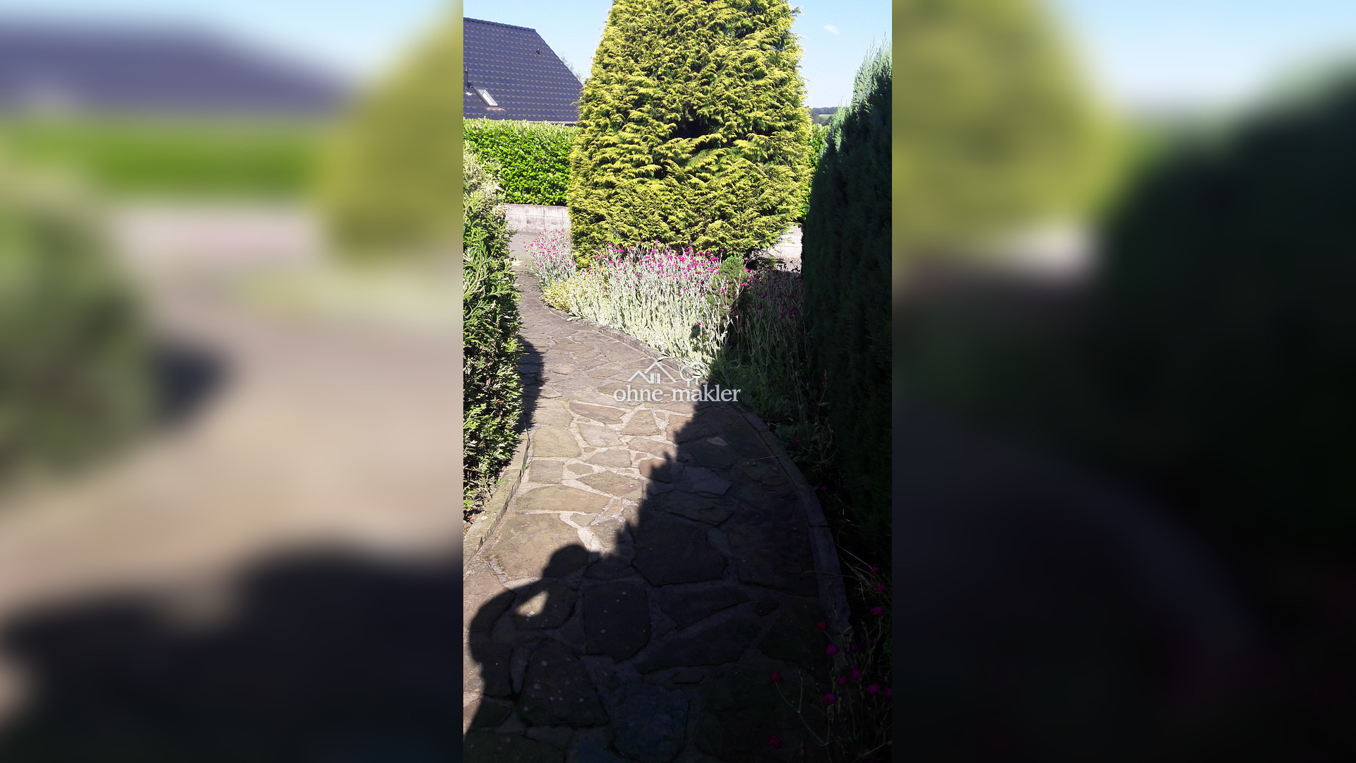 Bild 64