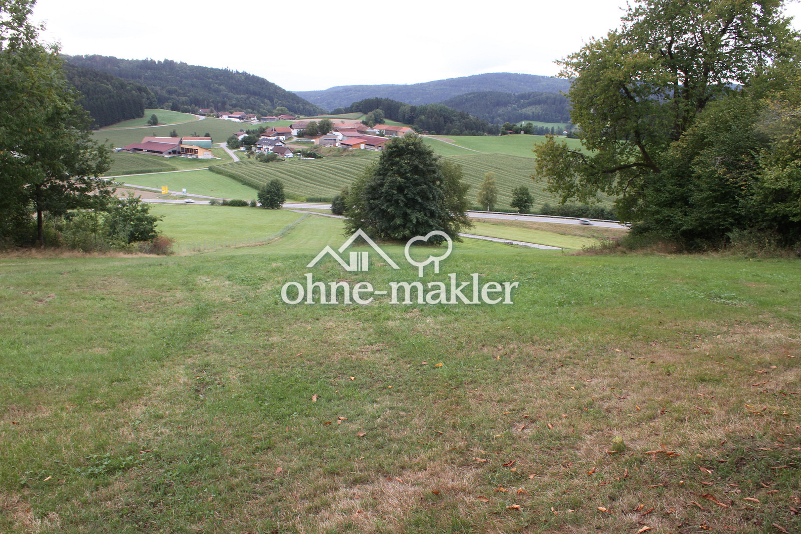 Bild 43