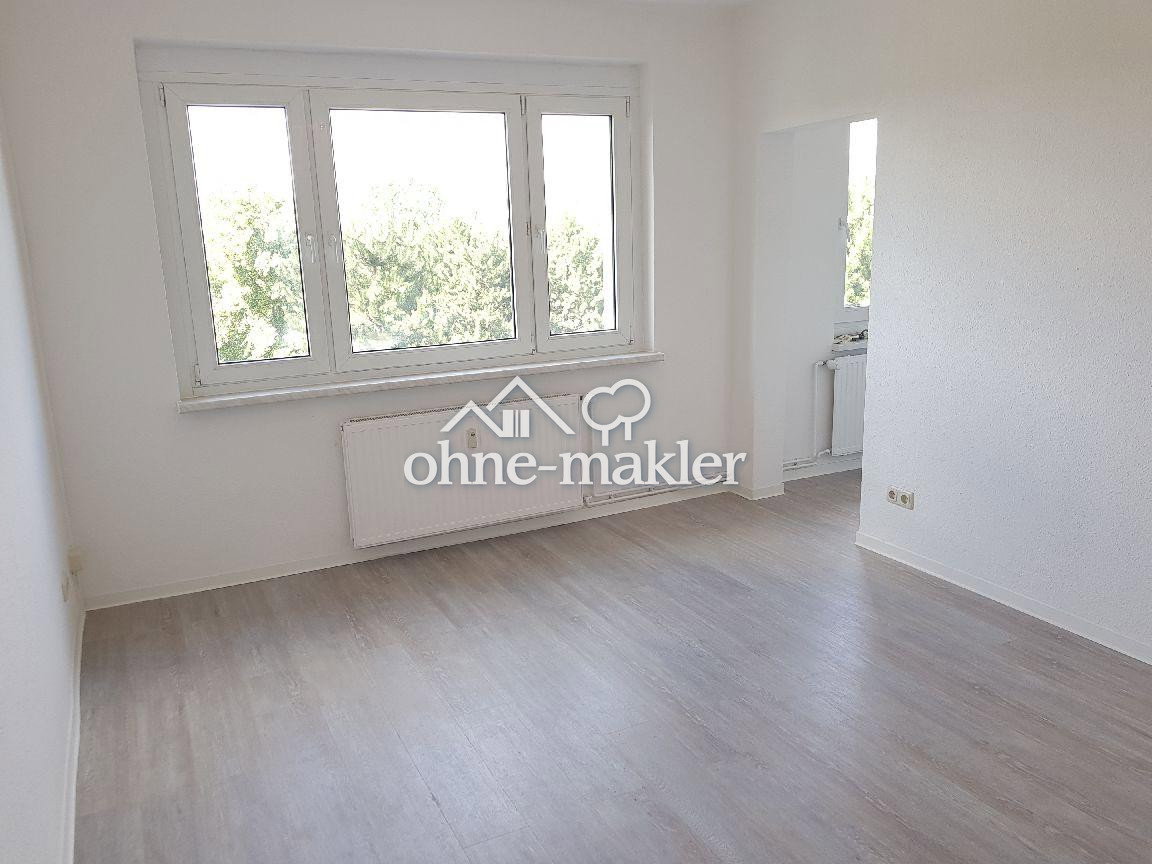1-Raum Wohnung in ruhiger Lage bei Leipzig, 4575 Neukieritzsch