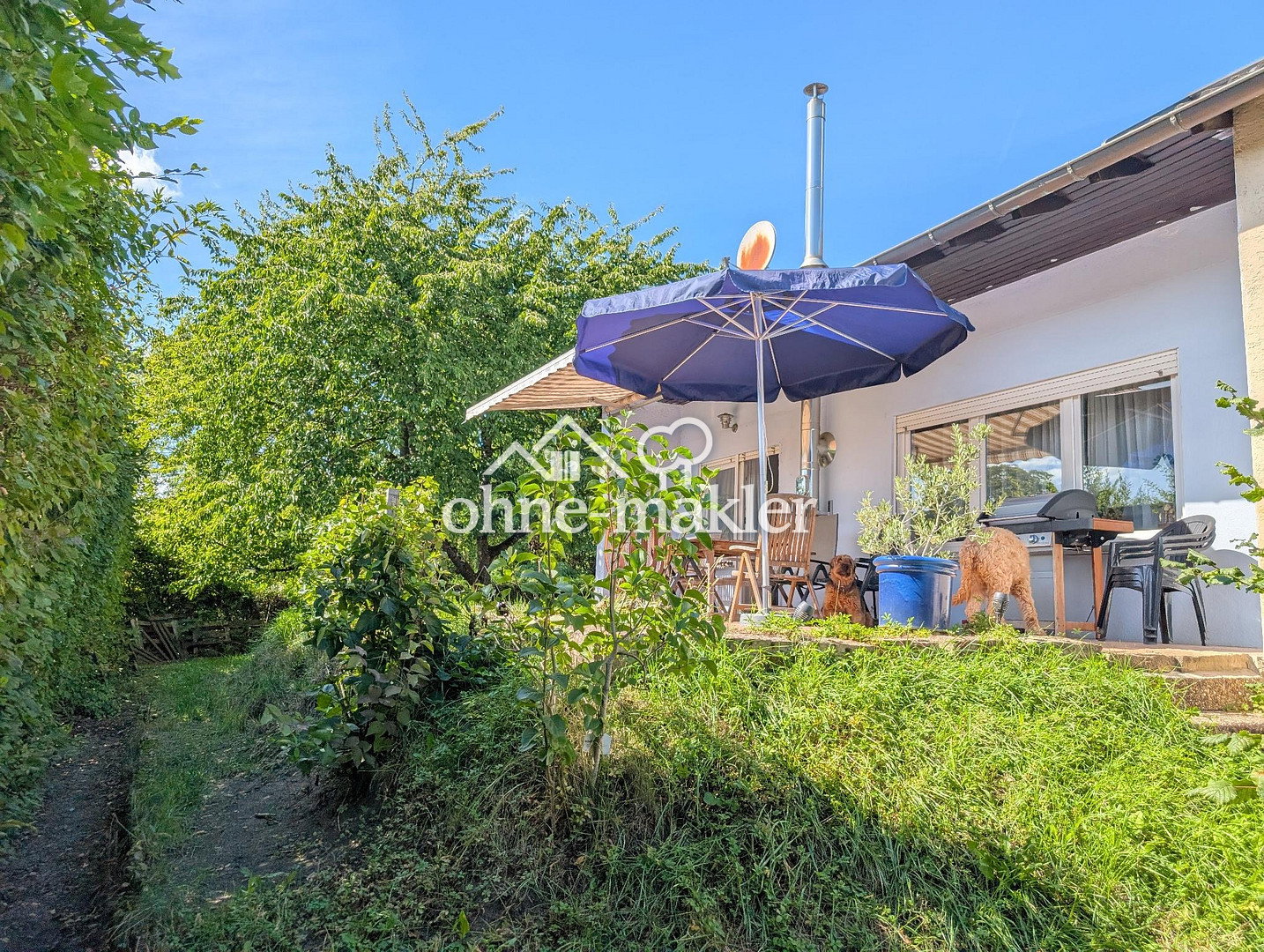 Bild 19