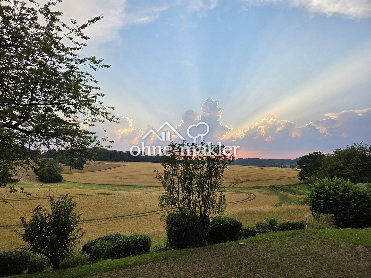 Bild 19