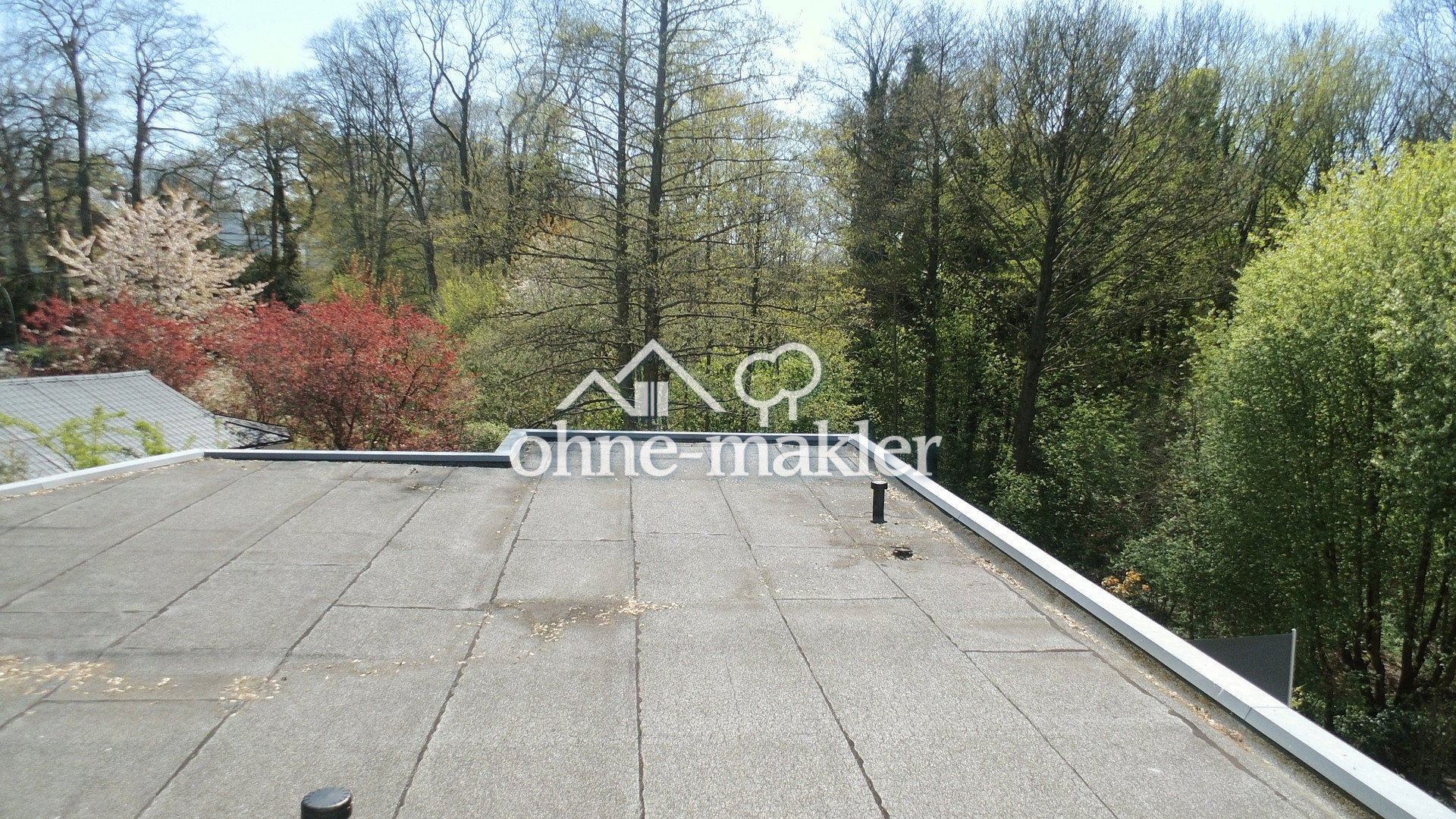 Bild 92