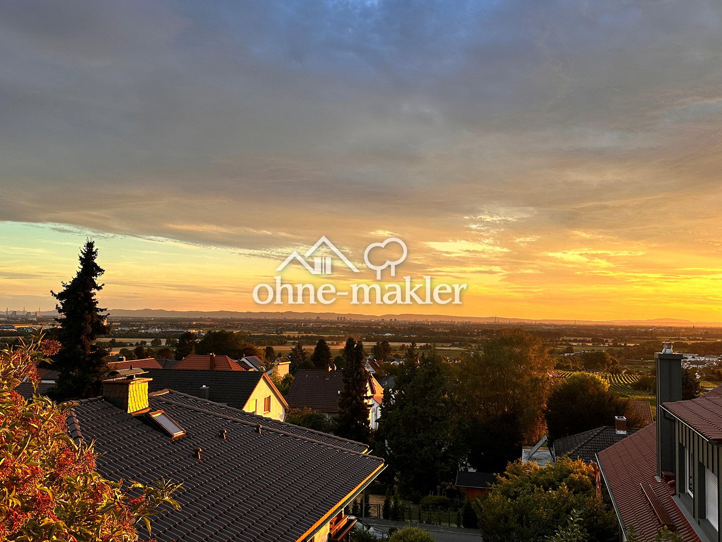 Bild 17