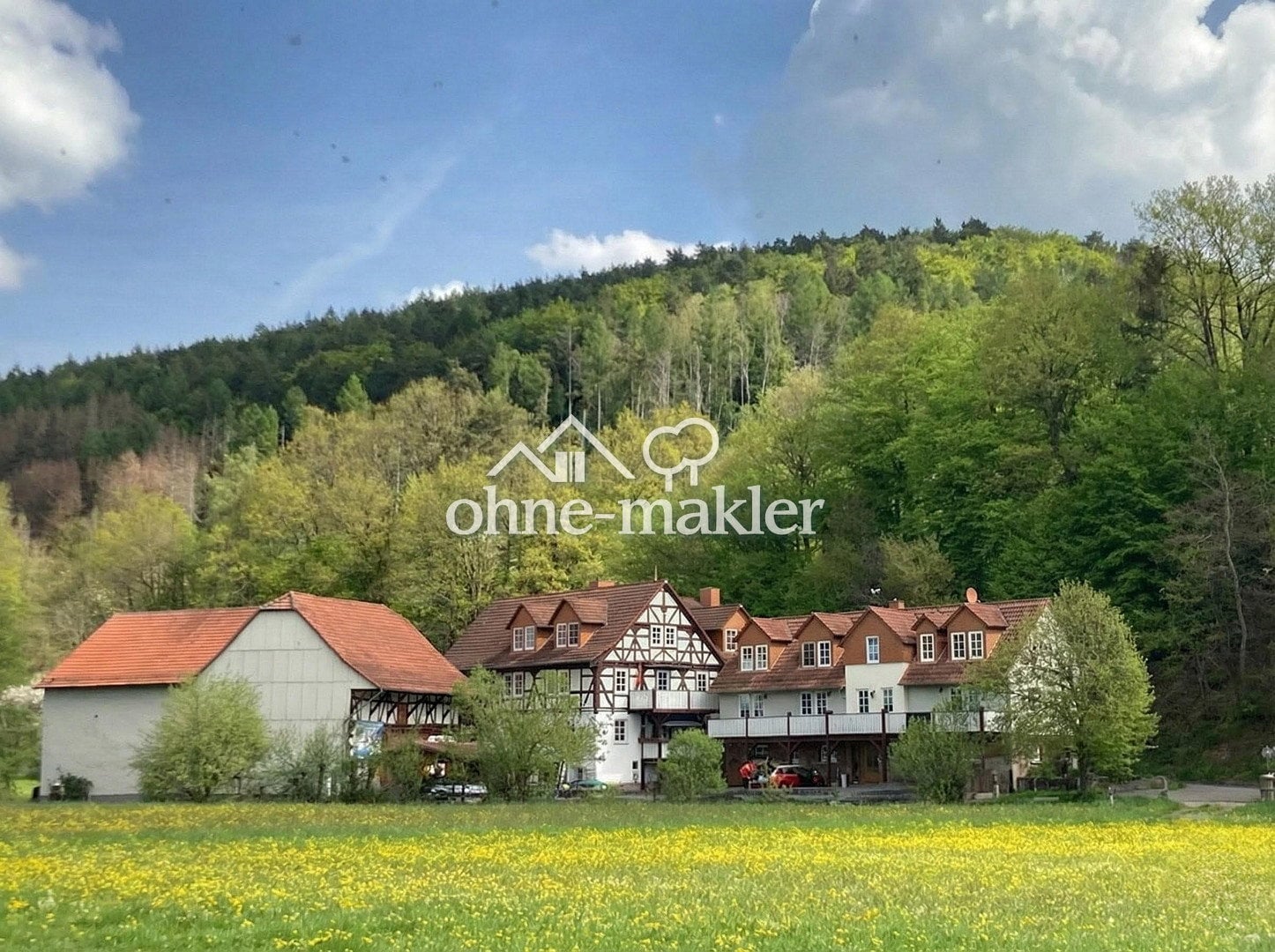 Historisches Anwesen mit Wasserkraft & viel Platz, 36286 Neuenstein