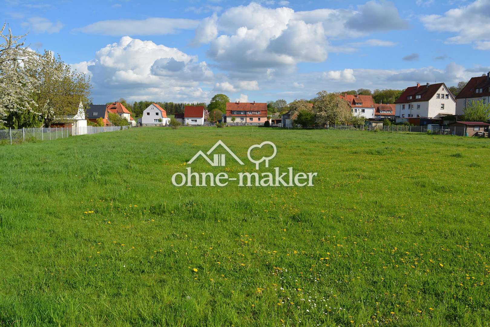 Bauträgerfrei in Duingen – Ihr Traumhaus beginnt hier, 31089 Duingen