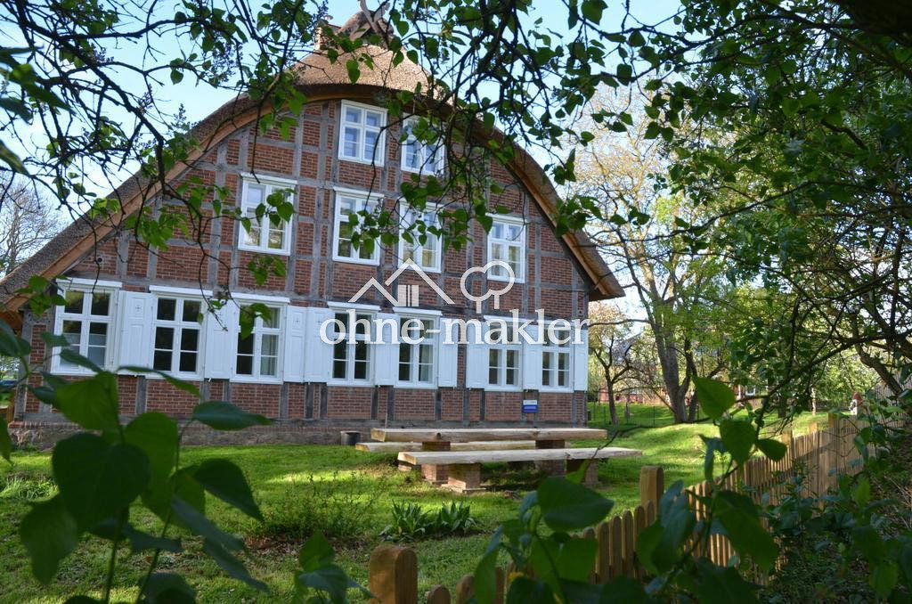 Historisches Reetdachhaus mit Elbdeich-Blick, 19309 Lenzerwische (Mödlich)
