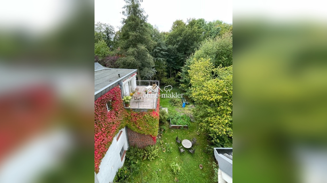 Bild 19