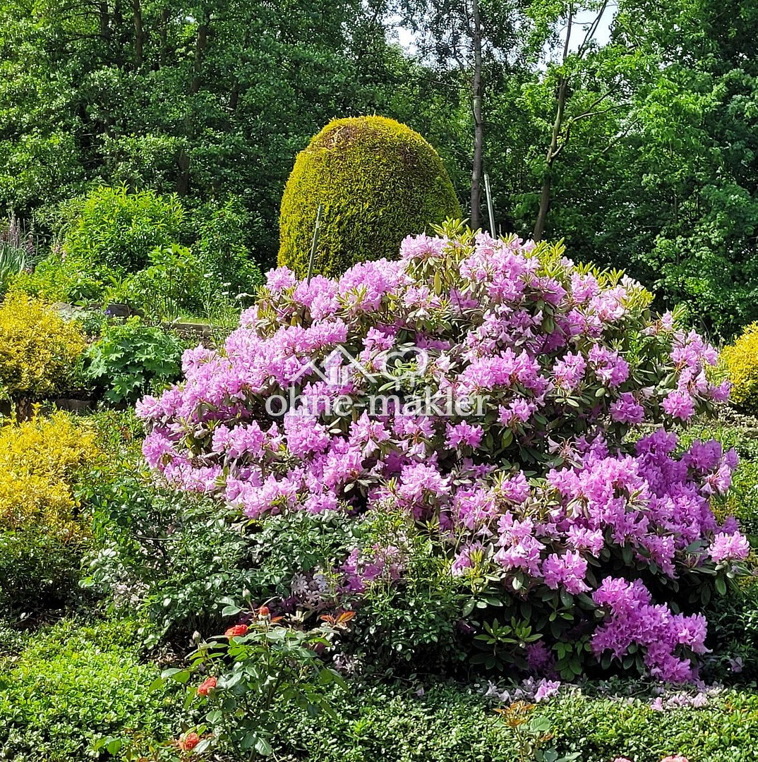 Charmantes Reihenhaus mit Garten in Bad Gandersheim, 37581 Bad Gandersheim