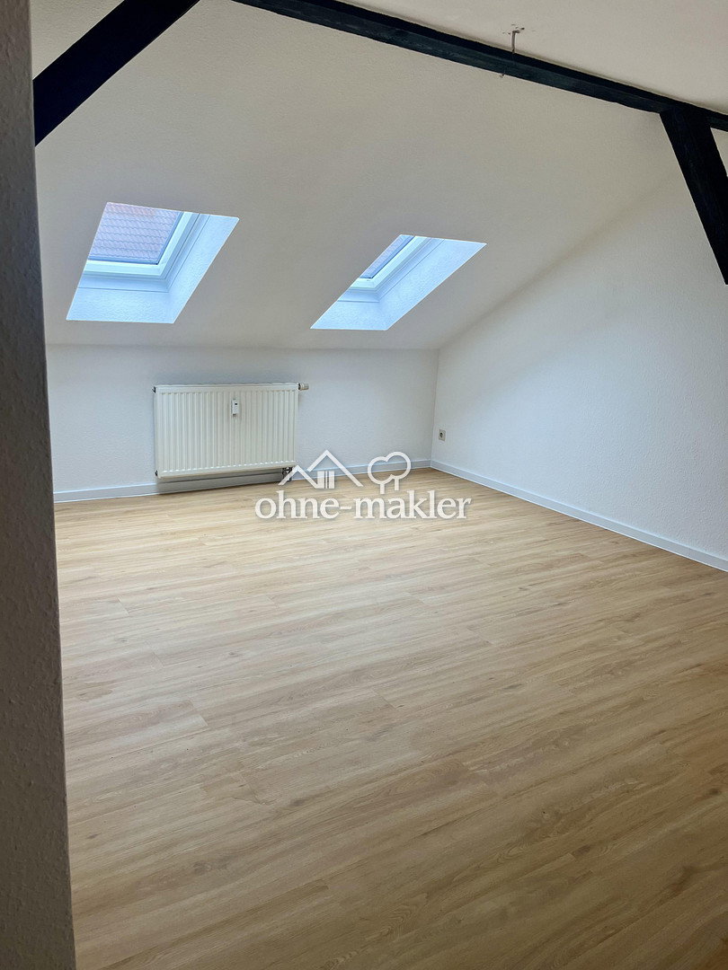 charmante Altbauwohnung im Medizinerviertel, 6112 Halle (Saale)