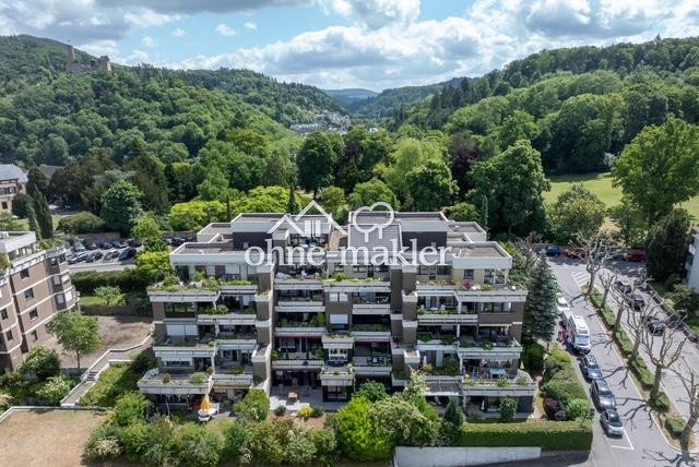 Traumhafte Terrassenwohnung mit Parkblick, 69469 Weinheim