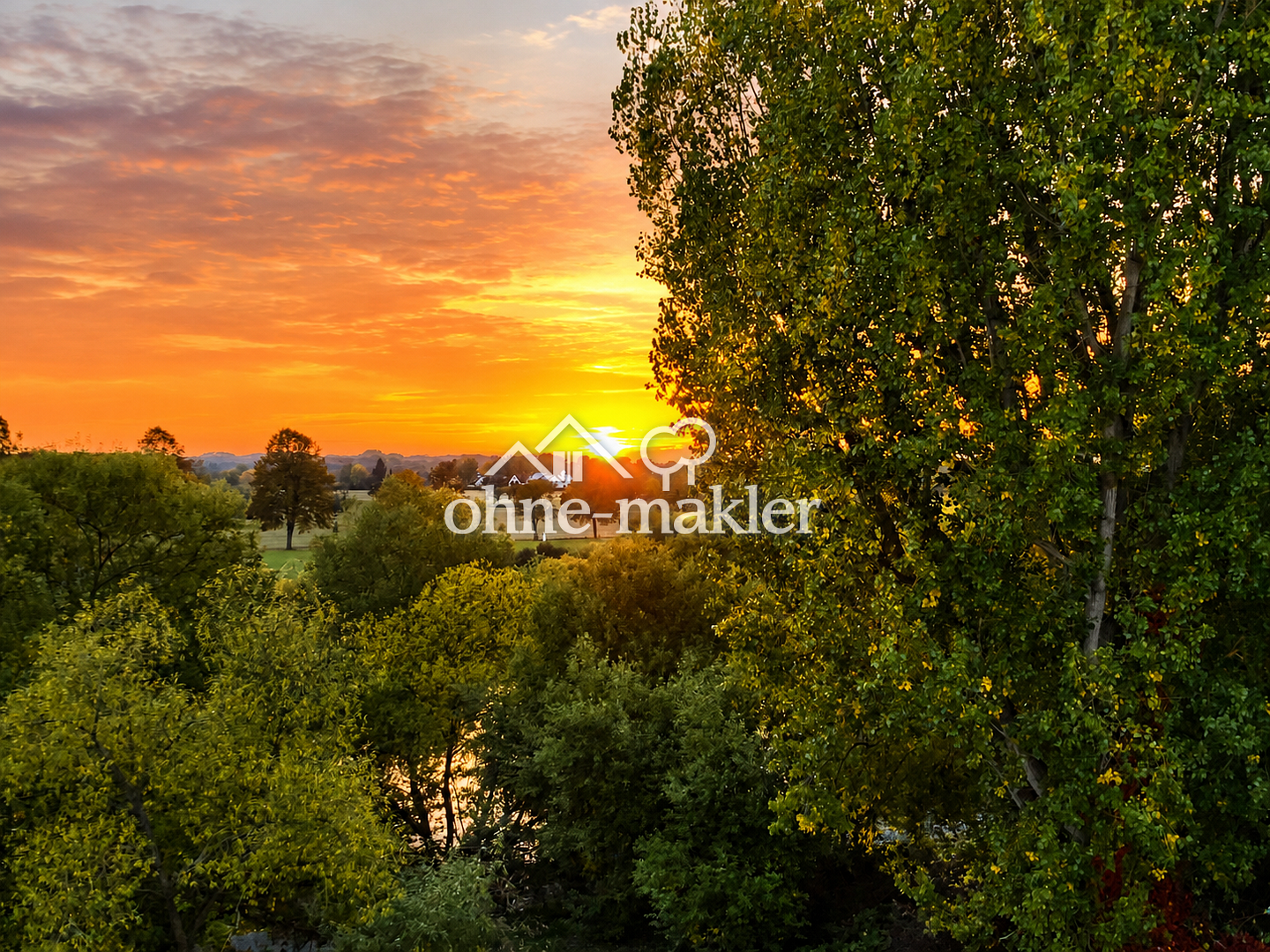 Mainblick inklusive Traumwohnung in Karlstein, 63791 Karlstein a. Main