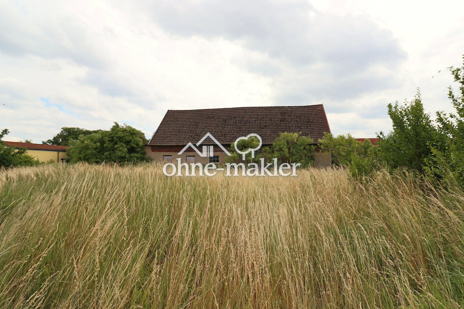Bild 12