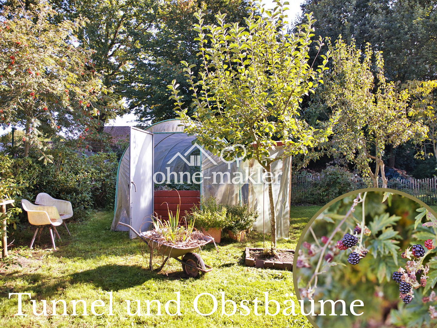 Bild 41