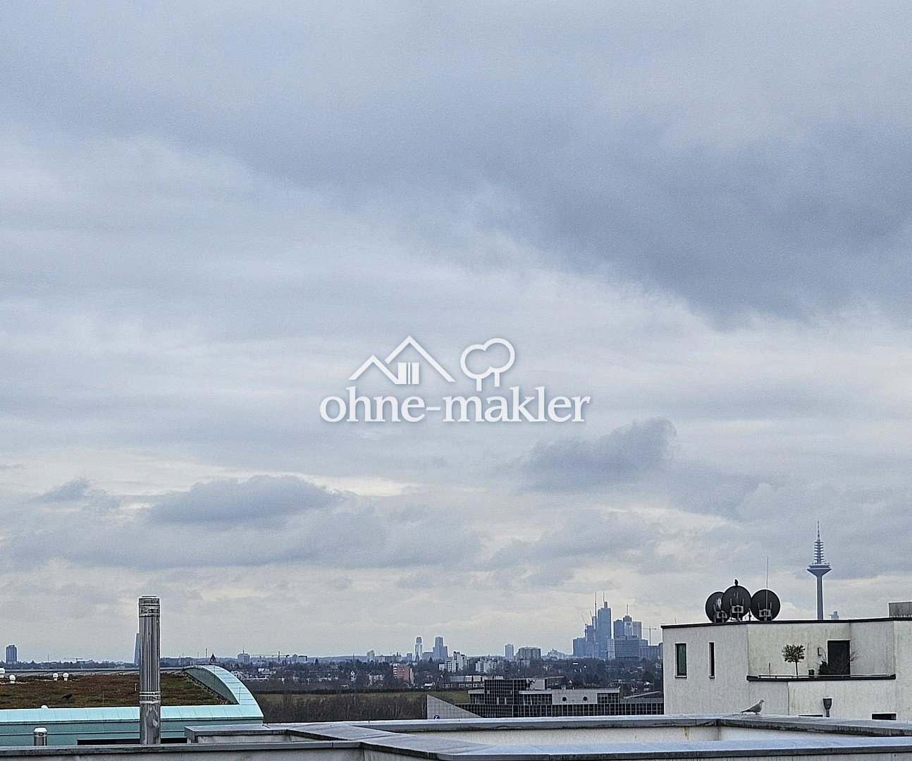 Skyline-Blick & Dachterrasse in Frankfurt, 60438 Frankfurt am Main (Kalbach-Riedberg Niederursel)