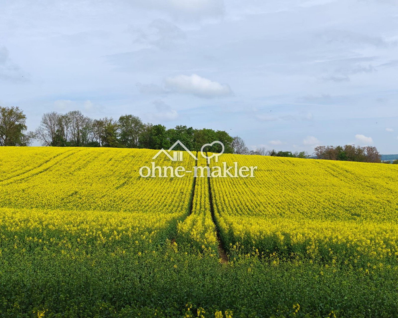 Panoramablick & Mediterranes Flair in Niederviehbach, 84183 Niederviehbach