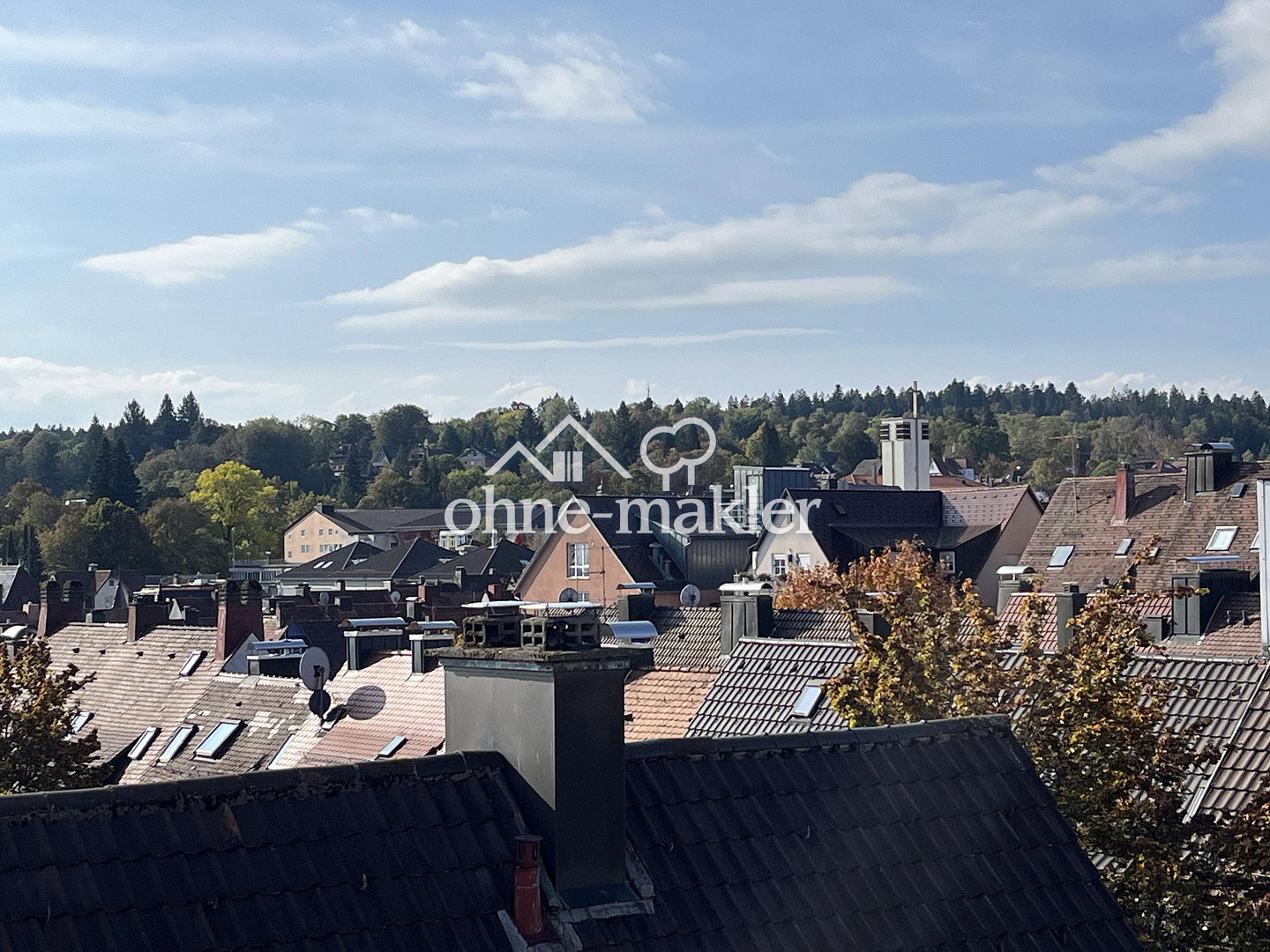 Freudenstadt Dachgeschosswohnung mit Dachboden, 72250 Freudenstadt
