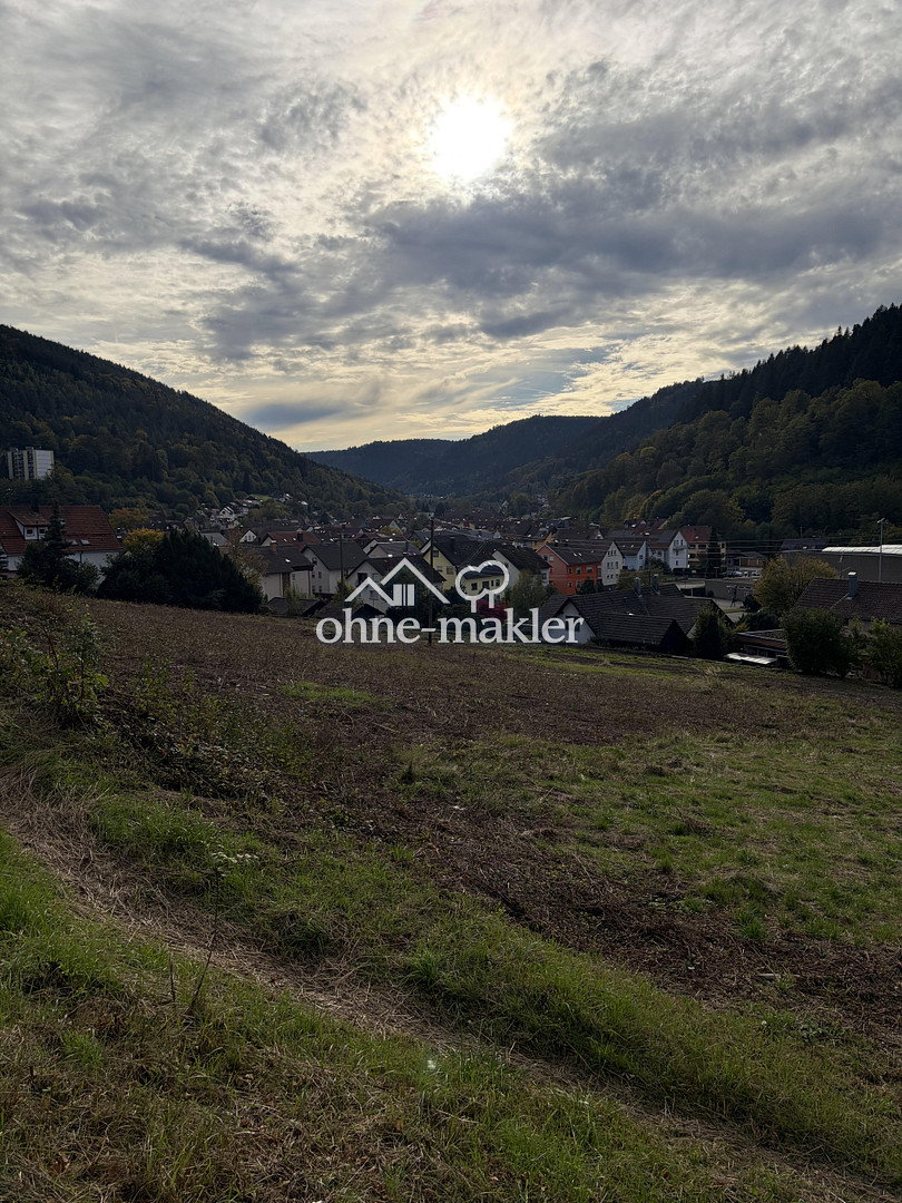 Baugrundstück mit Potenzial in Bad Wildbad, 75323 Bad Wildbad (Calmbach)