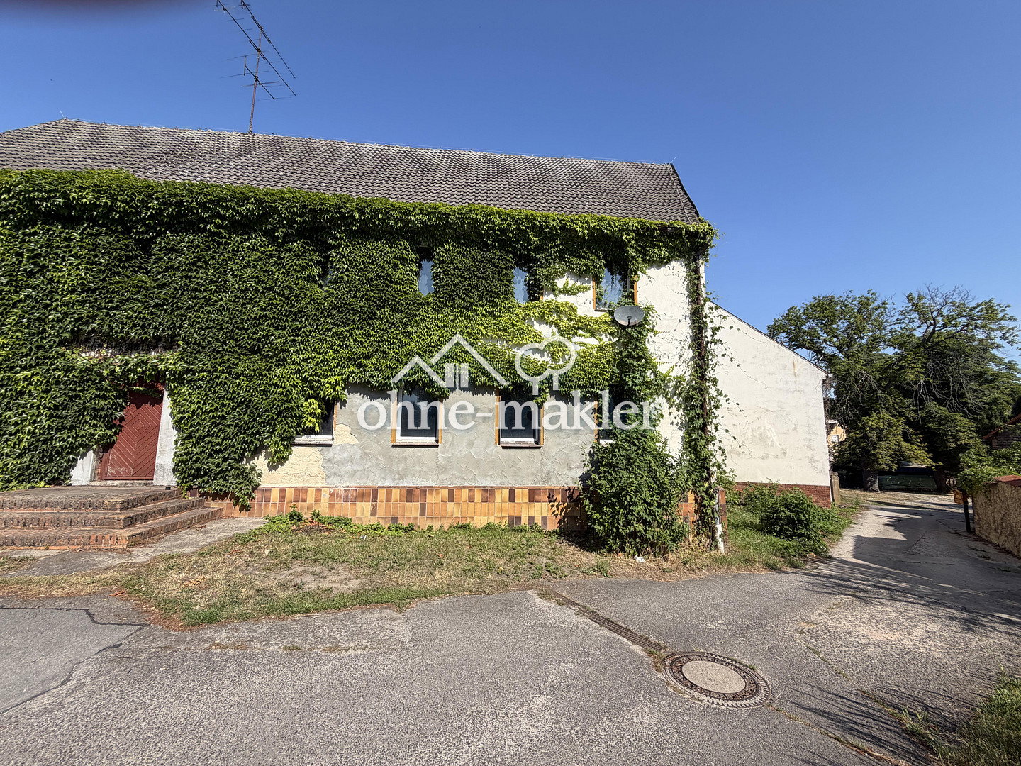 Bild 19