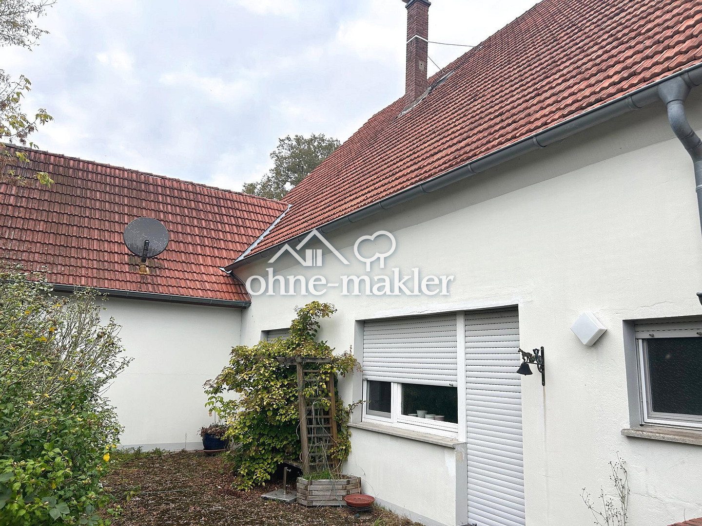 Bild 12
